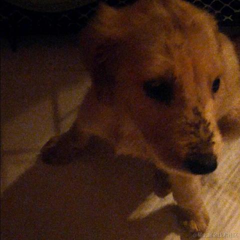 user8361于2021-11-22 21:58发布的图片