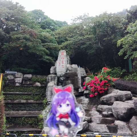 脆弱杨桃干于2022-11-09 10:30发布的图片