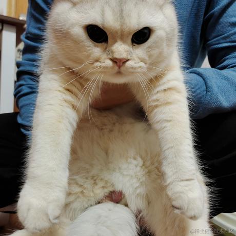 GriT于2023-02-08 21:29发布的图片