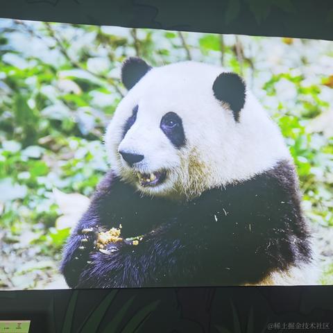 爱吃嘉晚饭于2023-07-07 07:27发布的图片