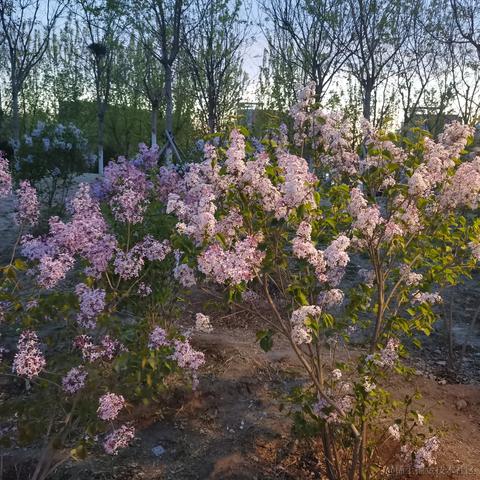 stwang于2023-04-08 19:06发布的图片