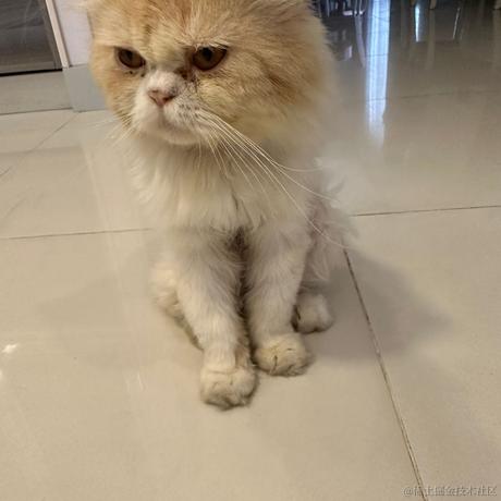 无_妄于2023-05-20 16:52发布的图片