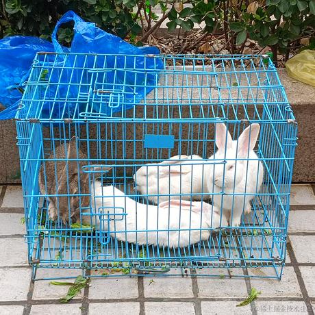 囧史密斯于2022-11-20 17:26发布的图片