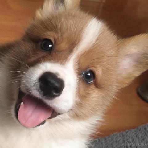 牛肉烧板黎于2020-12-09 13:01发布的图片