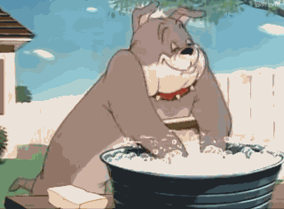 今天宜喝冰阔落于2023-09-27 13:44发布的图片