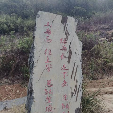黑了于2022-11-22 12:05发布的图片