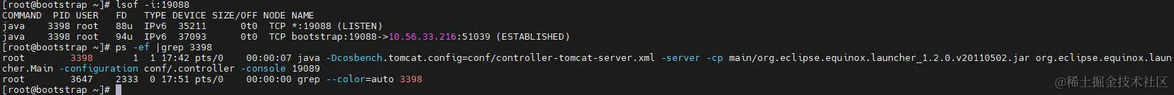 查看controller服务启动情况