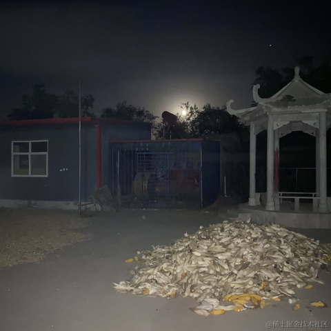 小蚊酱于2020-10-10 08:37发布的图片