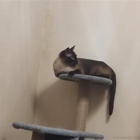 名字真难起于2022-05-11 08:46发布的图片