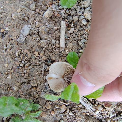 Uwiling于2022-11-21 15:46发布的图片