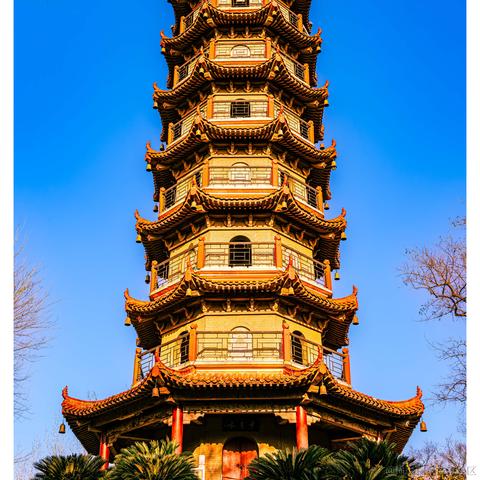 光影童于2024-01-09 09:38发布的图片