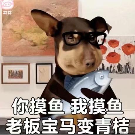 薄荷核桃于2022-08-08 10:54发布的图片