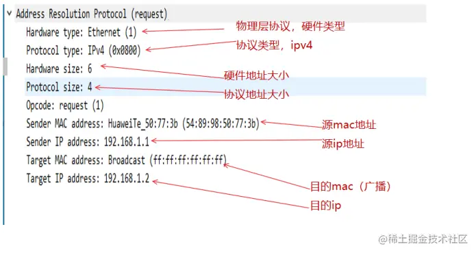 arp请求报文.png