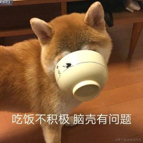 小狗小狗于2022-12-07 13:02发布的图片