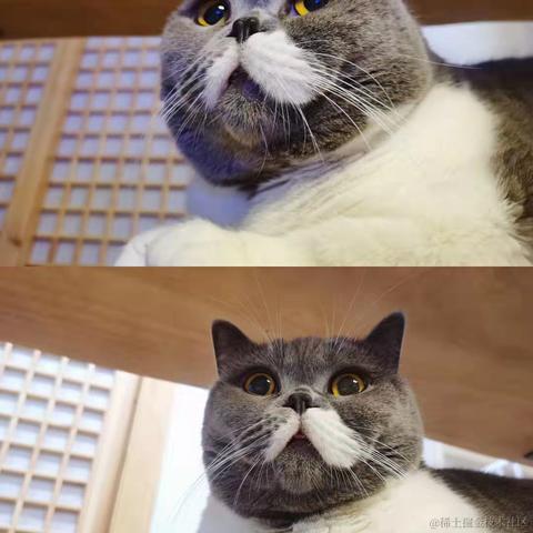 我的bug是猫写的于2021-11-01 16:42发布的图片