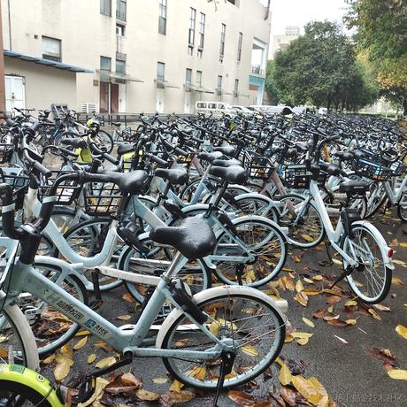 此刻韶华于2023-04-21 07:06发布的图片