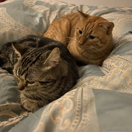 avavaava于2022-11-17 00:25发布的图片