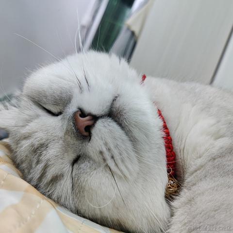 叨叨呀于2022-06-16 09:46发布的图片