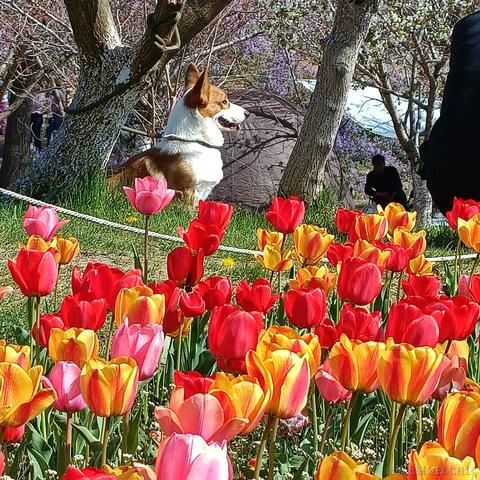 Grong于2023-04-19 19:49发布的图片