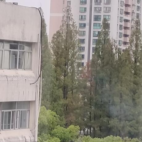 四面游鳞于2022-11-27 09:05发布的图片