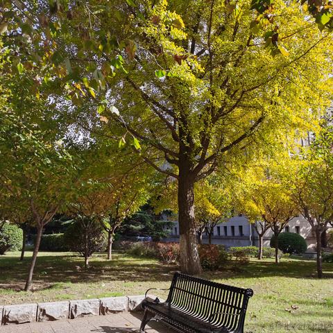 叮咚咚咚于2022-10-25 23:05发布的图片