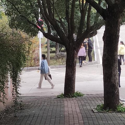 糖炒栗子7788于2022-11-23 23:51发布的图片