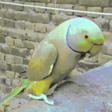 jayjay于2023-05-15 14:17发布的图片