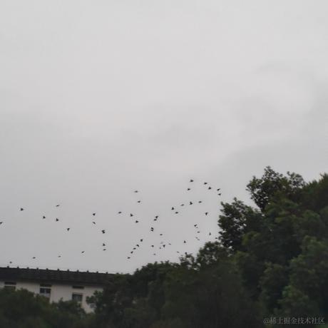 四点加能于2022-11-25 08:47发布的图片