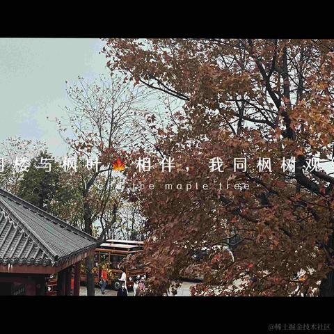 宁在春于2022-11-13 22:27发布的图片