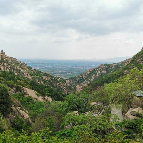 IT前端小马哥于2021-04-29 16:55发布的图片