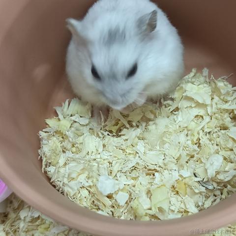 敲敲敲敲暴你脑袋于2023-10-08 07:25发布的图片