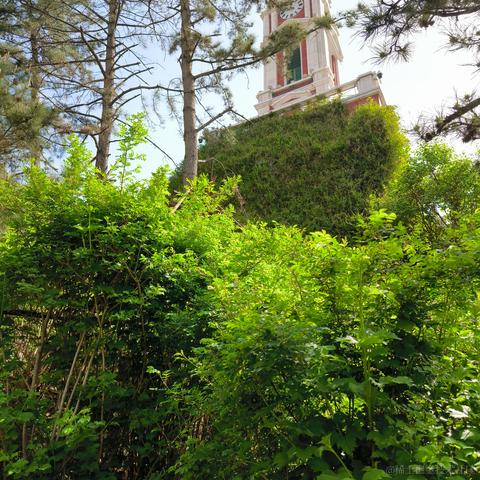 Phantom460于2023-04-16 18:36发布的图片