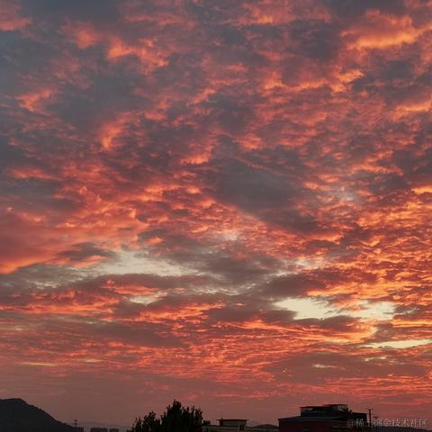 夏夜雨微凉于2023-05-18 07:43发布的图片