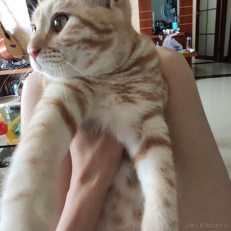 贝拉老公月光加冕于2022-11-14 20:42发布的图片