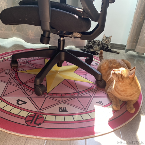 avavaava于2022-11-13 02:20发布的图片