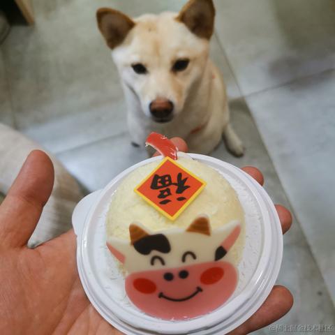 花果山大圣于2021-02-11 23:58发布的图片