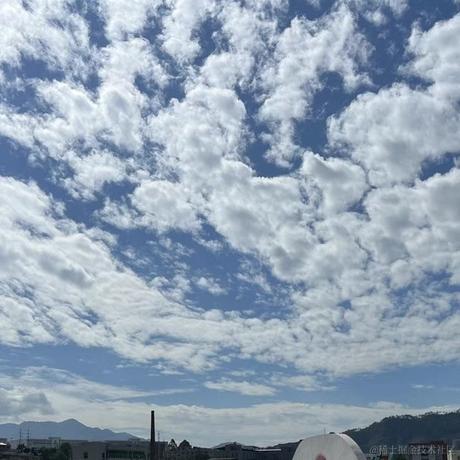 向晚女友于2022-11-09 18:50发布的图片