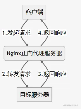 正向代理.png