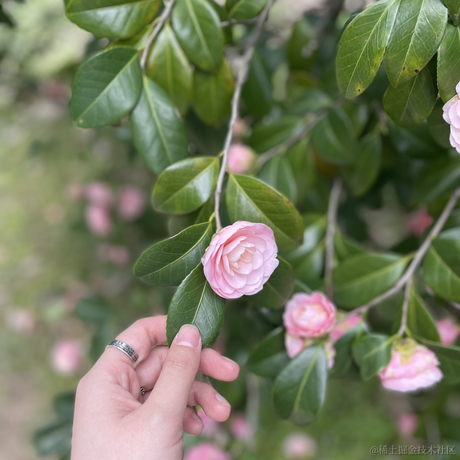 你说这是为什么于2023-05-22 09:47发布的图片
