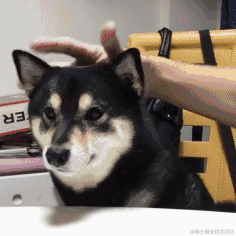 城心想干饭于2023-02-07 15:22发布的图片