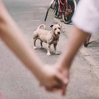 一一一一一一一一一一一一一一一一一一一于2023-08-22 10:05发布的图片