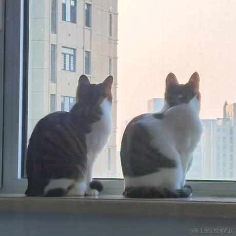 熙宁于2022-02-25 08:55发布的图片