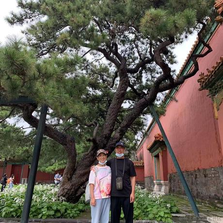 Daisy_D于2021-12-20 15:38发布的图片