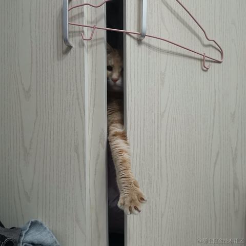 晓星尘jw于2023-03-19 17:45发布的图片