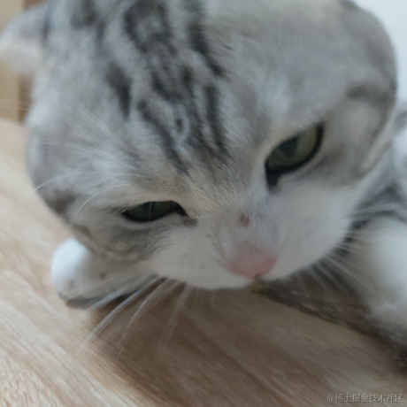 lin嘟嘟嘟于2022-01-07 13:42发布的图片