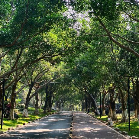 bunnybell于2022-11-20 11:48发布的图片