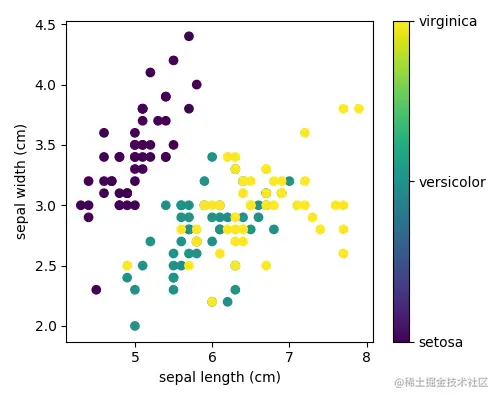 iris - dataset