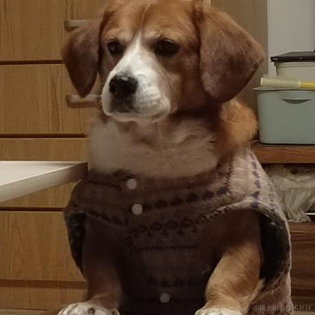 锅里没有水母于2022-12-26 19:11发布的图片