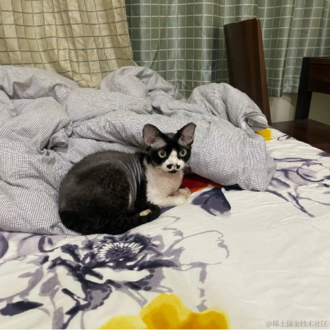 BooBoo于2021-12-27 15:47发布的图片