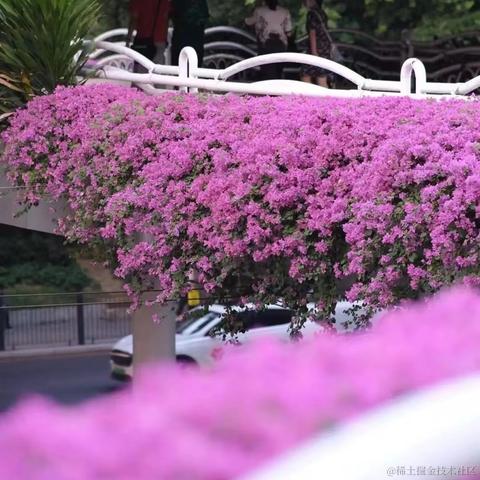 法医于2022-11-12 11:51发布的图片